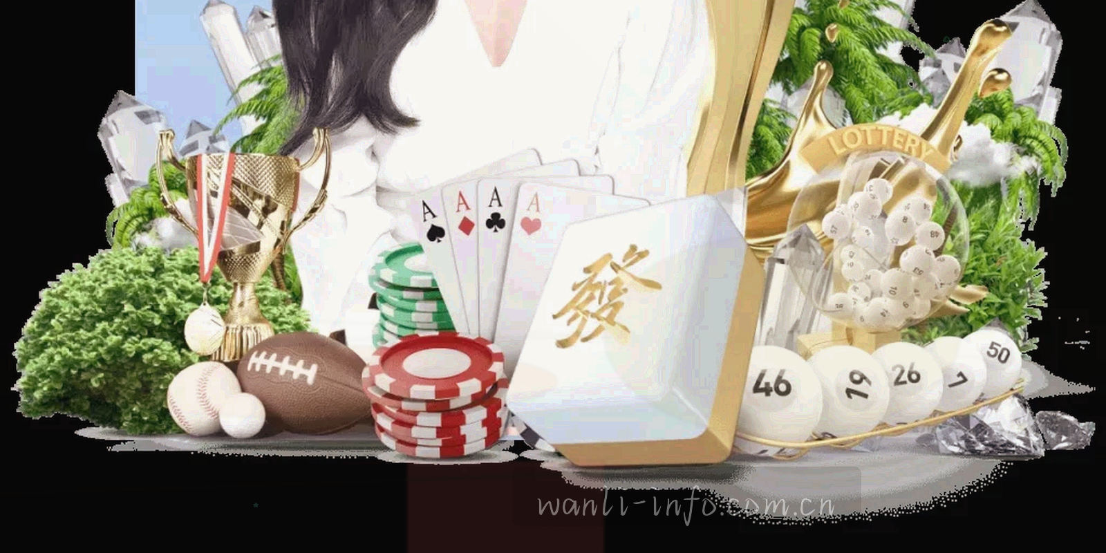 由胶囊编号与连续曲线连接的查询流程图，依次标注选择栏目、输入关键词或版本号、查看结果三个步骤